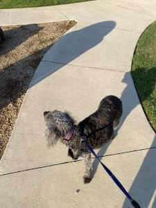 Andy looks at the park one last time.