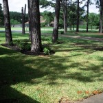 New landscaping (and a tiny John Deere)