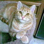 13th Day of Thanksgiving (T-Minus 15 and counting)