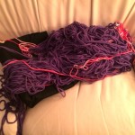 Continuing saga of the [whispered] bed bugs